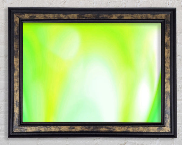 Lime Infusion Framed Print