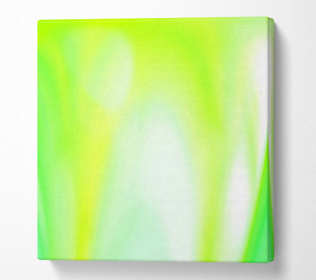  A Canvas Print of Lime Infusion Canvas Print