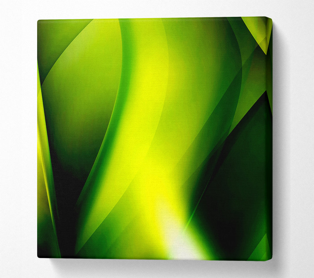  A Canvas Print of Lime Light Canvas Print
