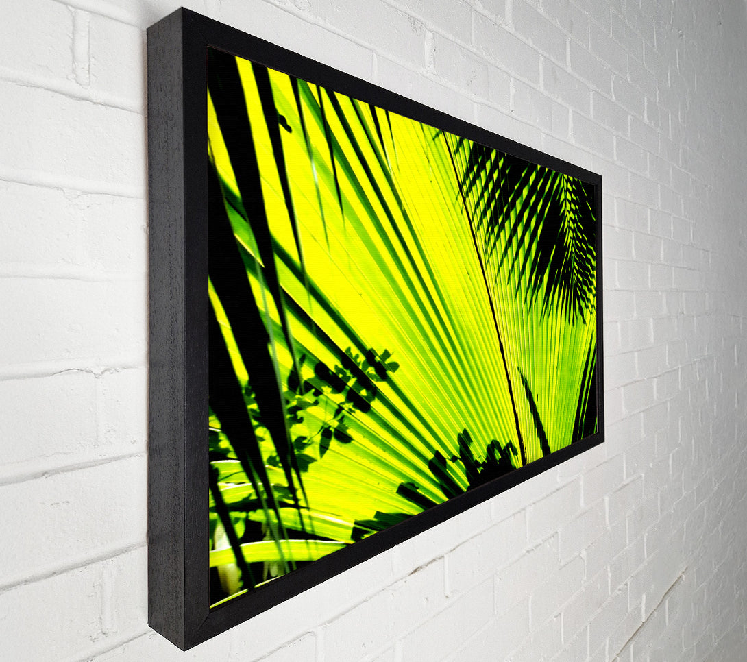  A Canvas Print of Lime Palm Tree Canvas Print