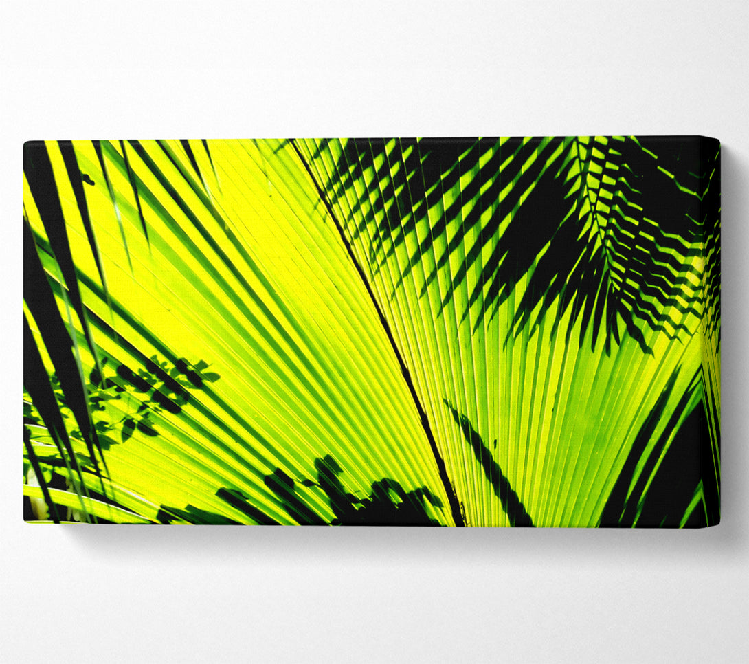  A Canvas Print of Lime Palm Tree Canvas Print