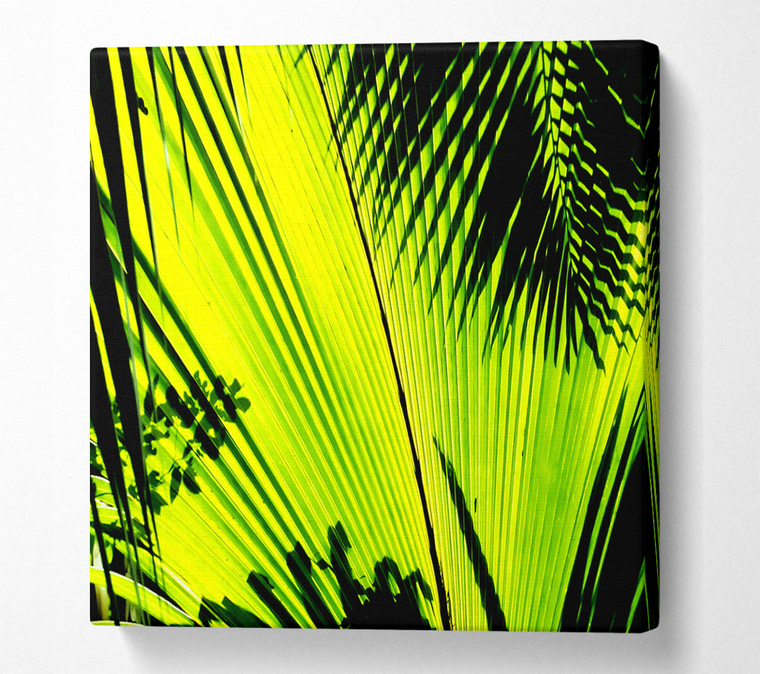  A Canvas Print of Lime Palm Tree Canvas Print