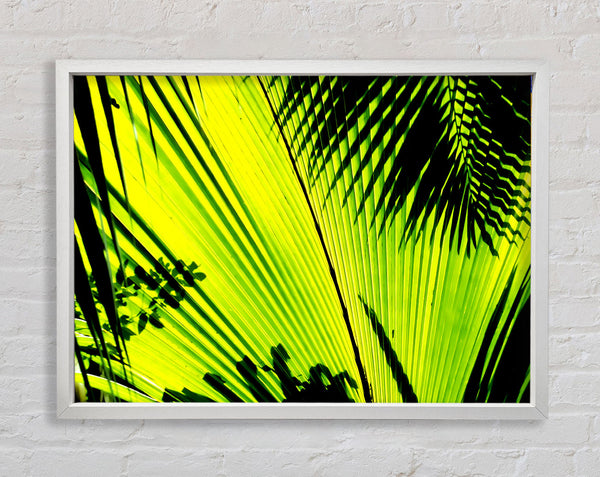 Lime Palm Tree Framed Print
