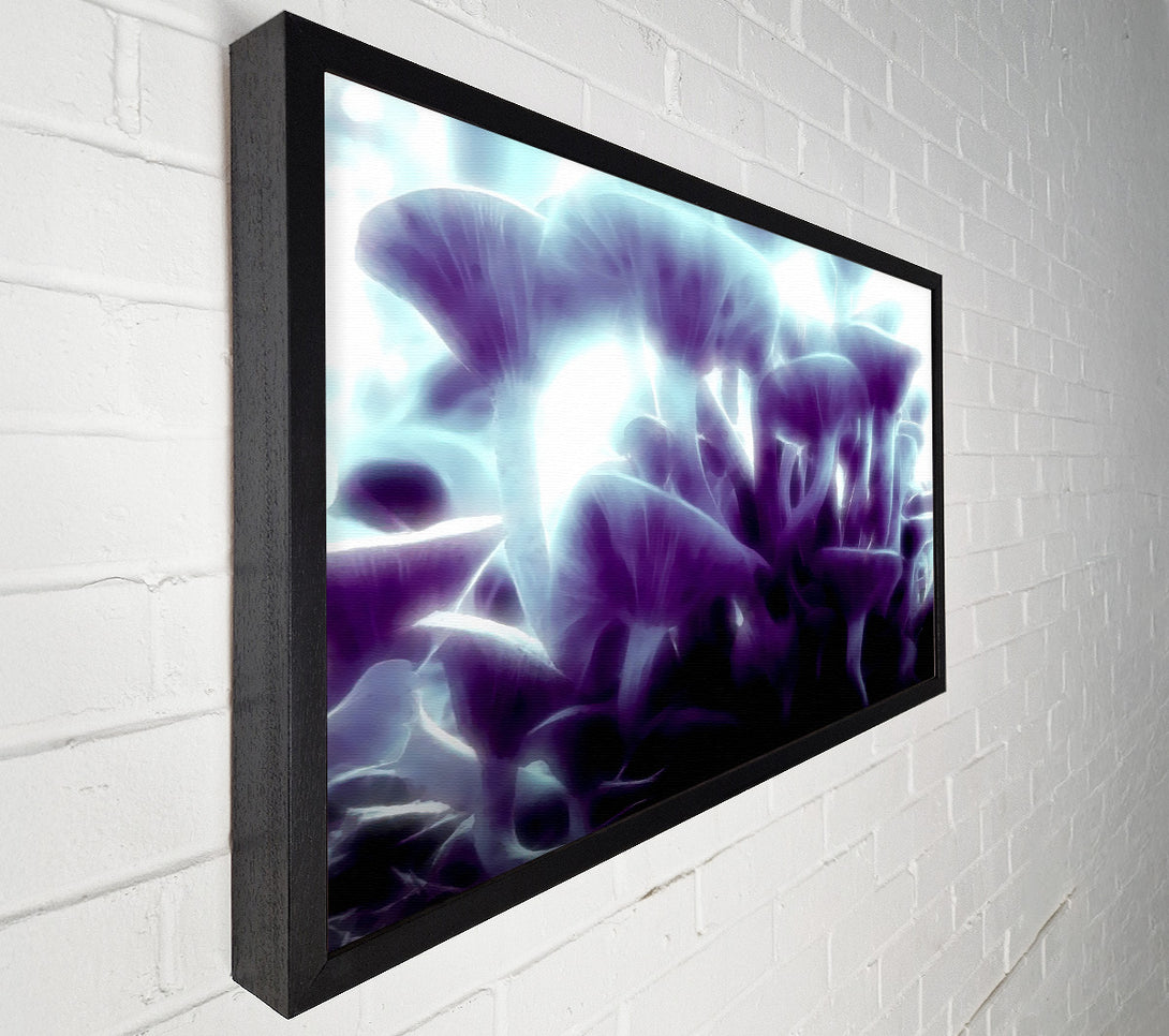  A Canvas Print of Magic Mystical Mushrooms Canvas Art