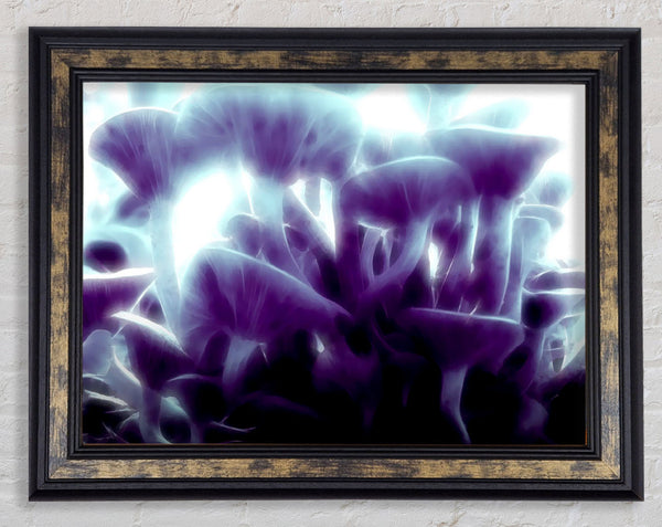 Magic Mystical Mushrooms Framed Print