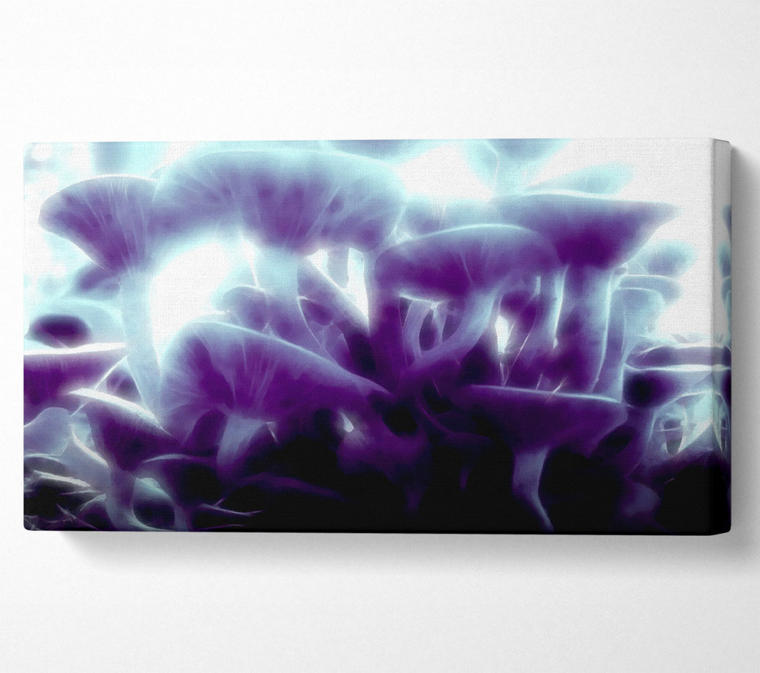  A Canvas Print of Magic Mystical Mushrooms Canvas Art