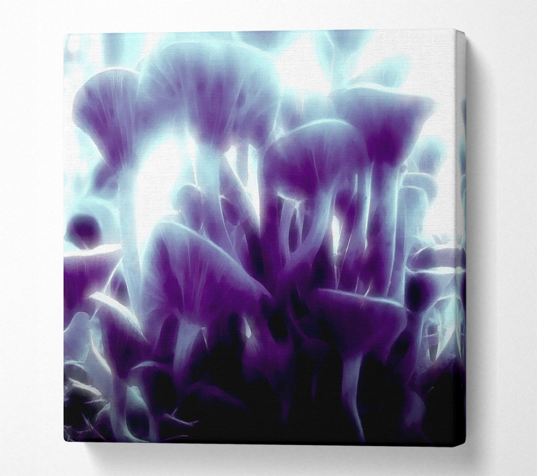  A Canvas Print of Magic Mystical Mushrooms Canvas Art