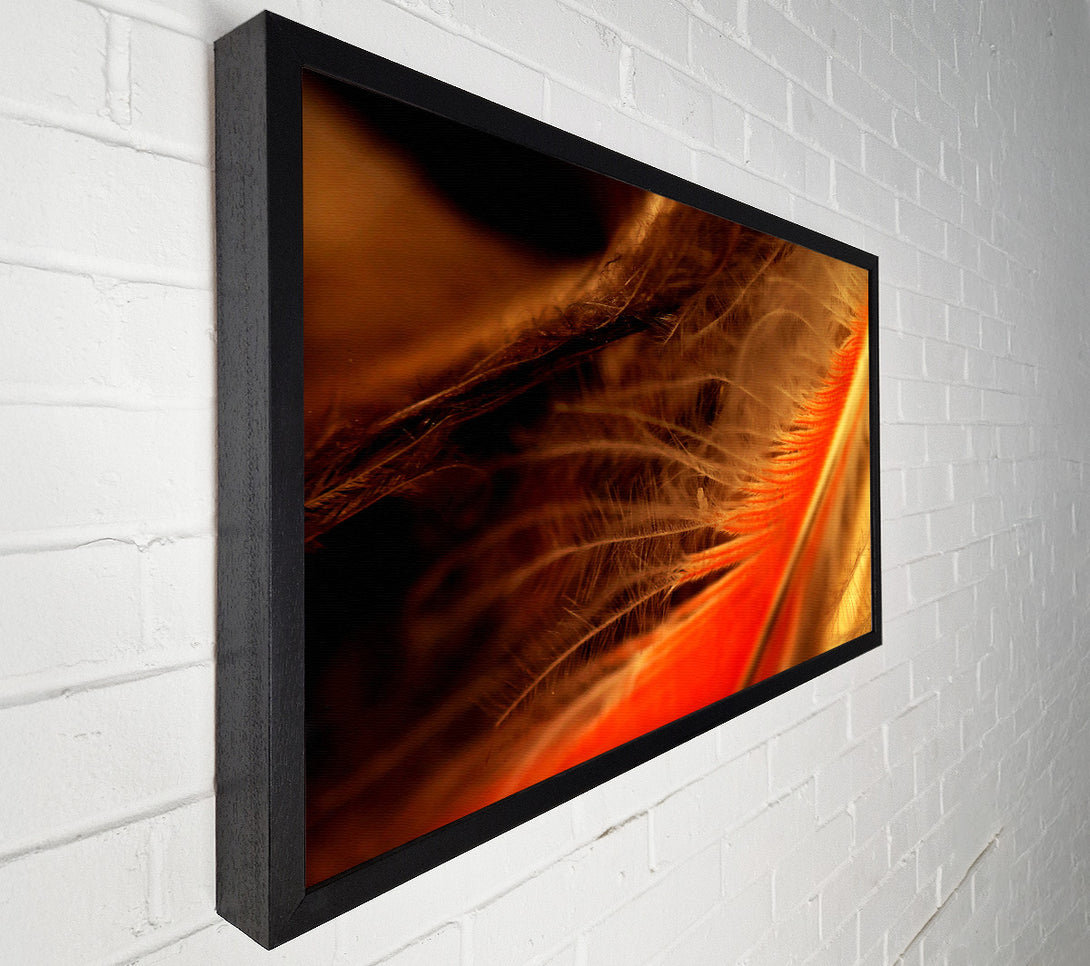  A Canvas Print of Orange Feather Macro Canvas Print