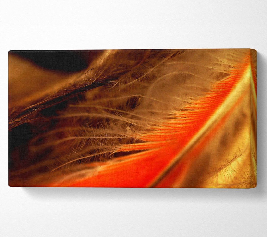  A Canvas Print of Orange Feather Macro Canvas Print