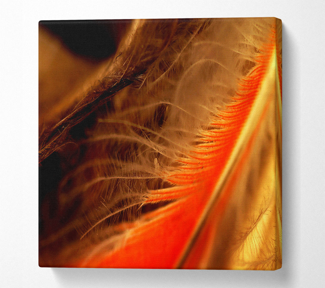  A Canvas Print of Orange Feather Macro Canvas Print