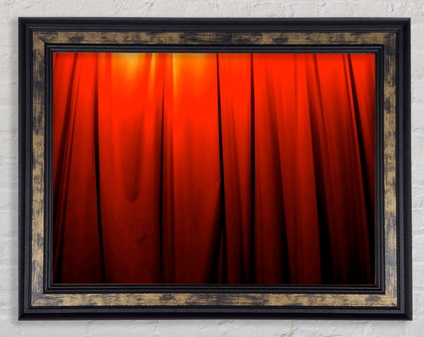 Orange Forest Framed Print
