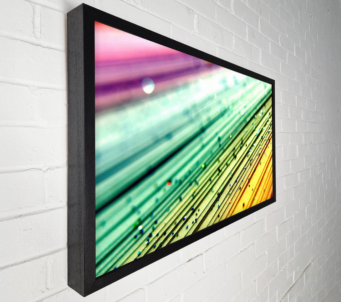  A Canvas Print of Paper Stars Canvas Art