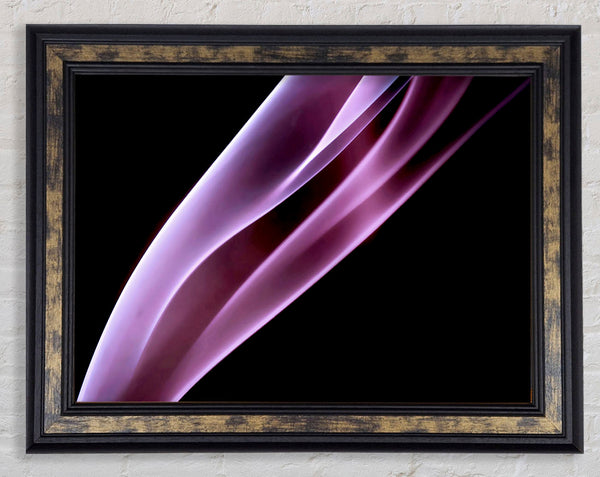 Passion Framed Print