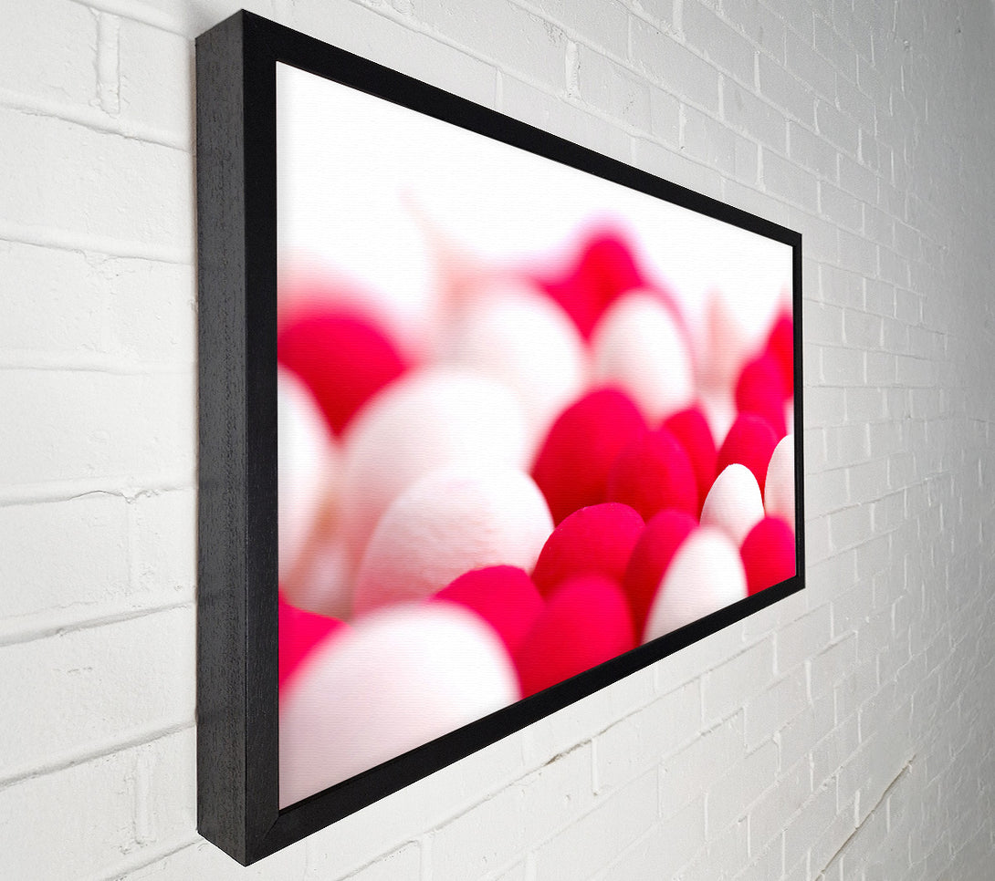  A Canvas Print of Pink And White Sweet Canvas Art