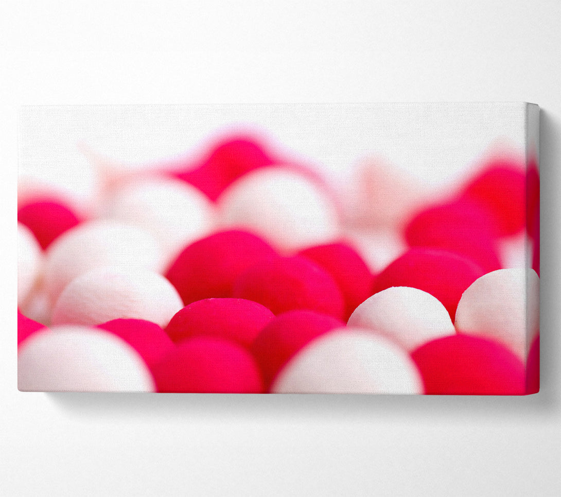  A Canvas Print of Pink And White Sweet Canvas Art