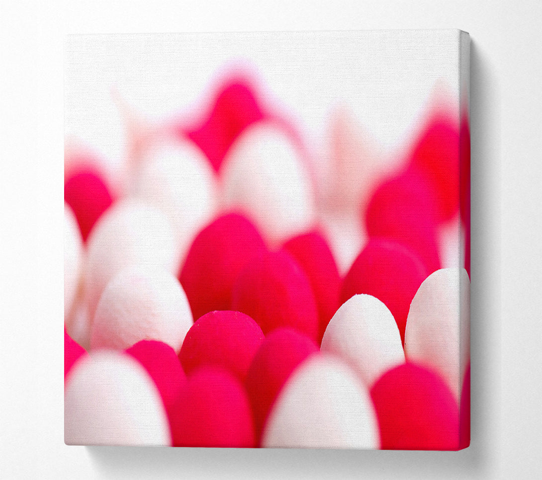  A Canvas Print of Pink And White Sweet Canvas Art