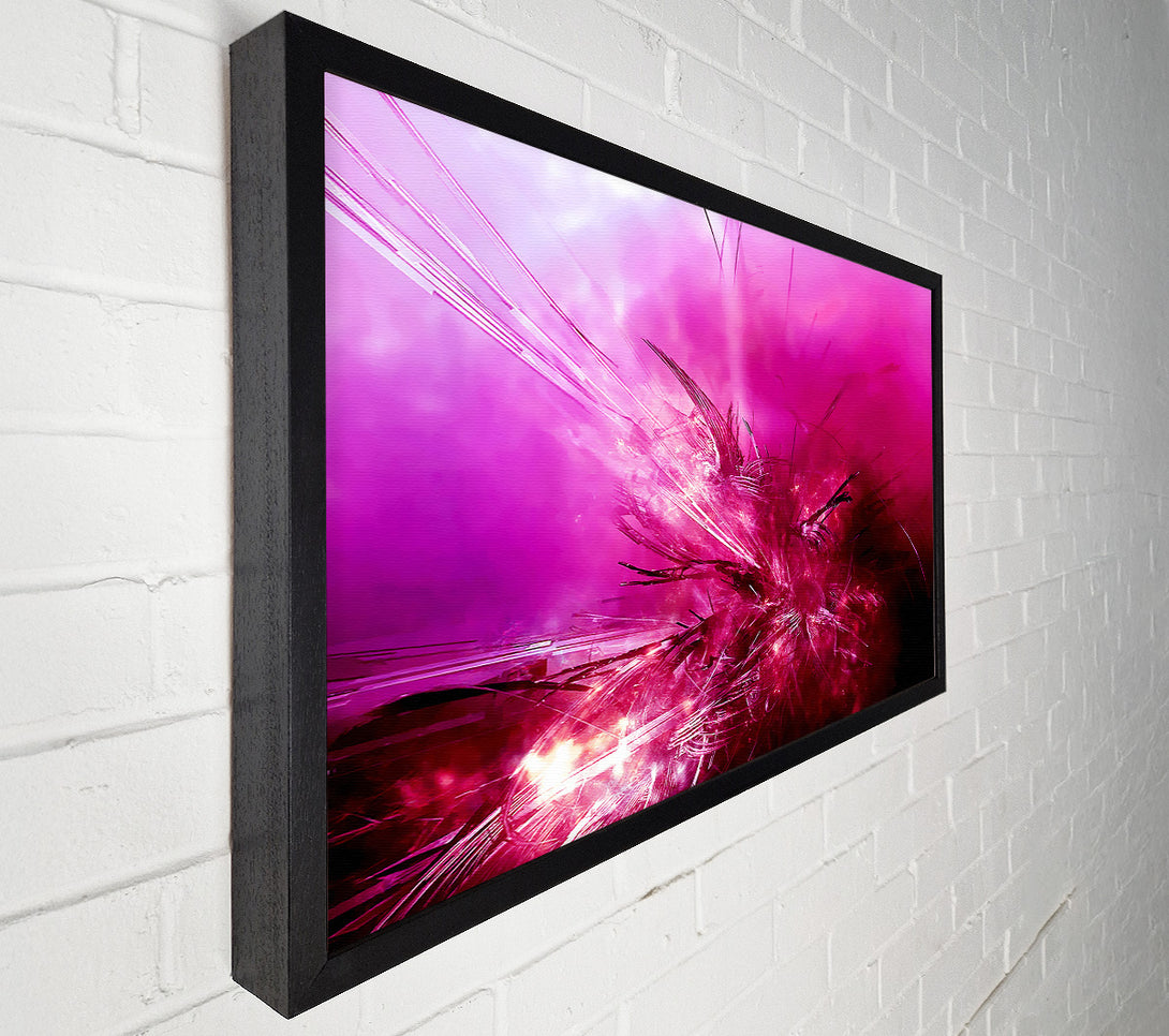  A Canvas Print of Pink Fury Canvas Print