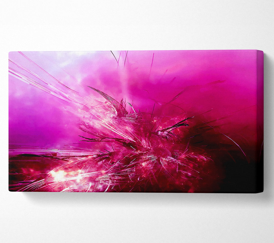  A Canvas Print of Pink Fury Canvas Print