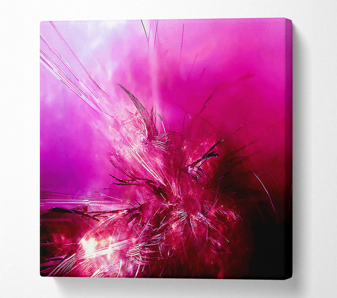  A Canvas Print of Pink Fury Canvas Print