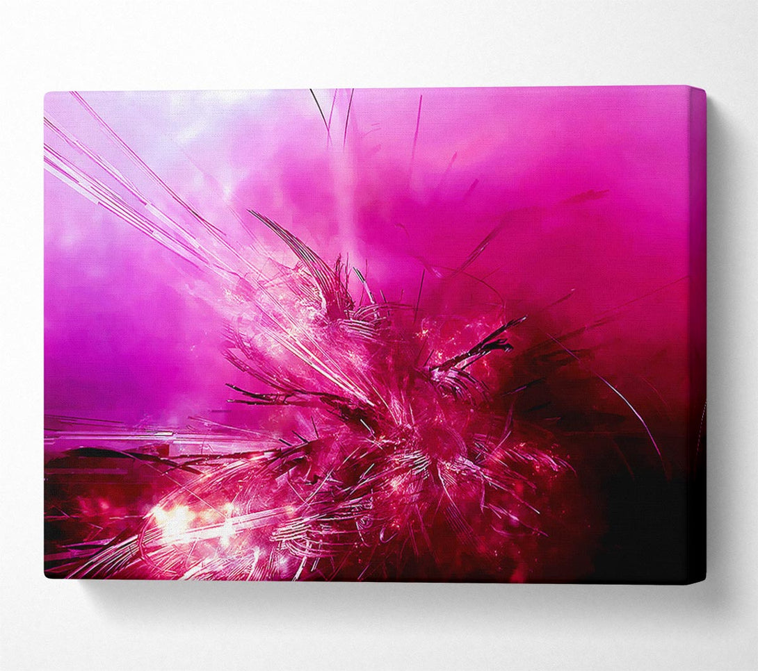 A Canvas Print of Pink Fury Canvas Print