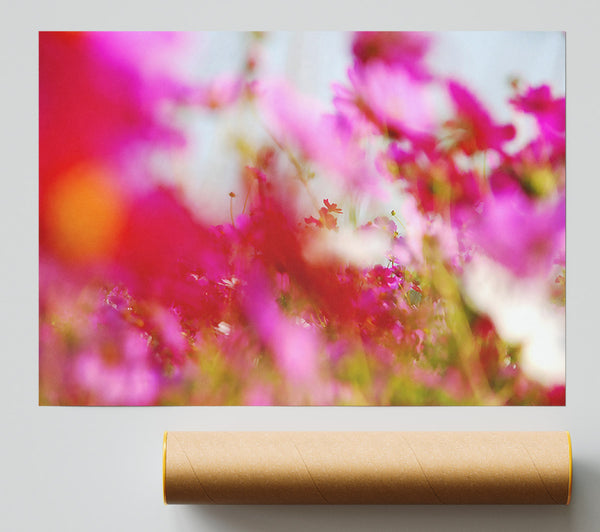 Pinkish Giclee Print
