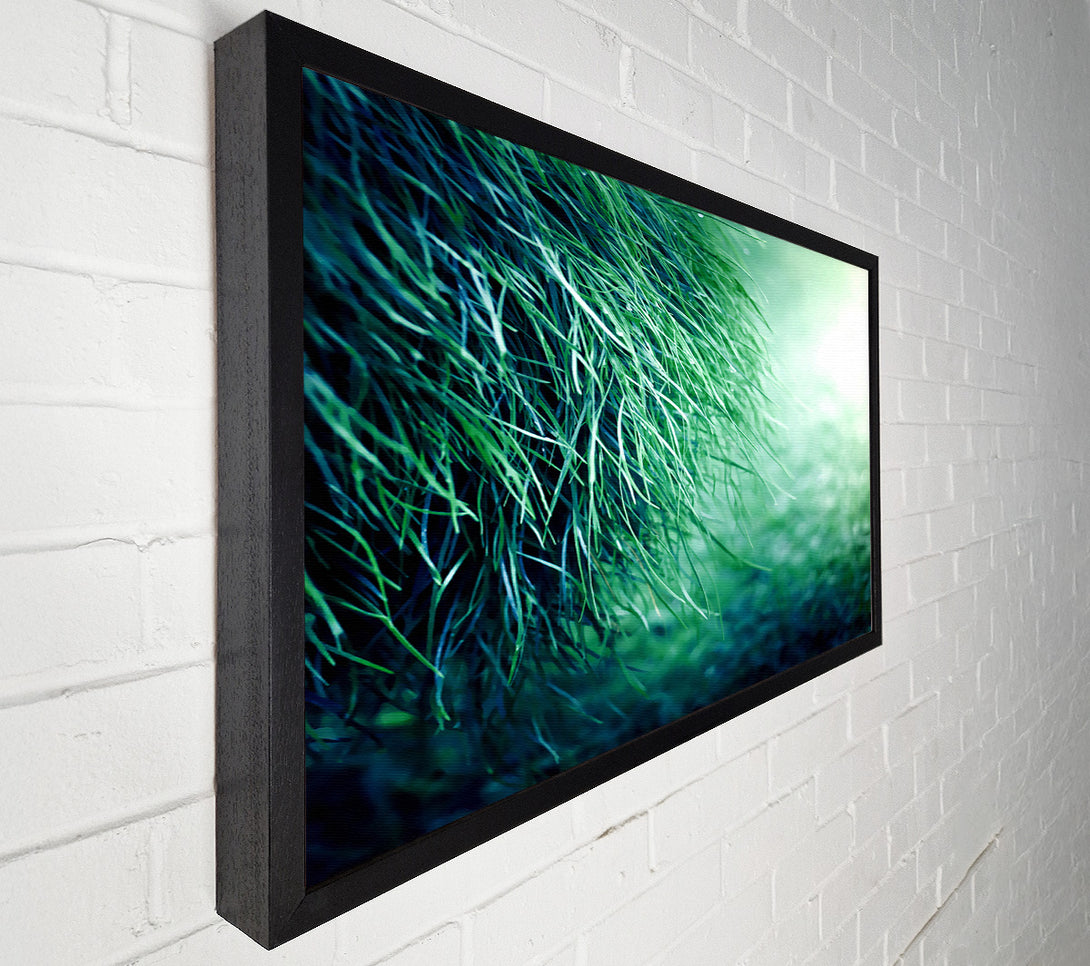  A Canvas Print of Pure Grass Canvas Art