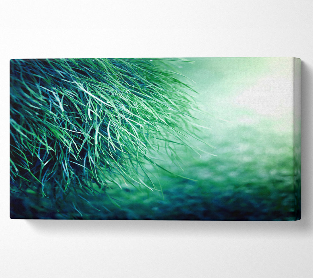  A Canvas Print of Pure Grass Canvas Art