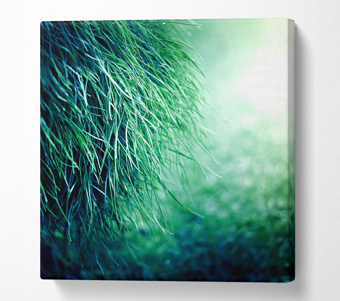  A Canvas Print of Pure Grass Canvas Art