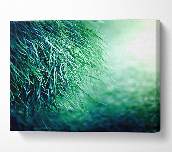  A Canvas Print of Pure Grass Canvas Art