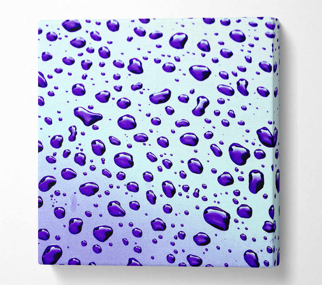  A Canvas Print of Purple Raindrops Canvas Print