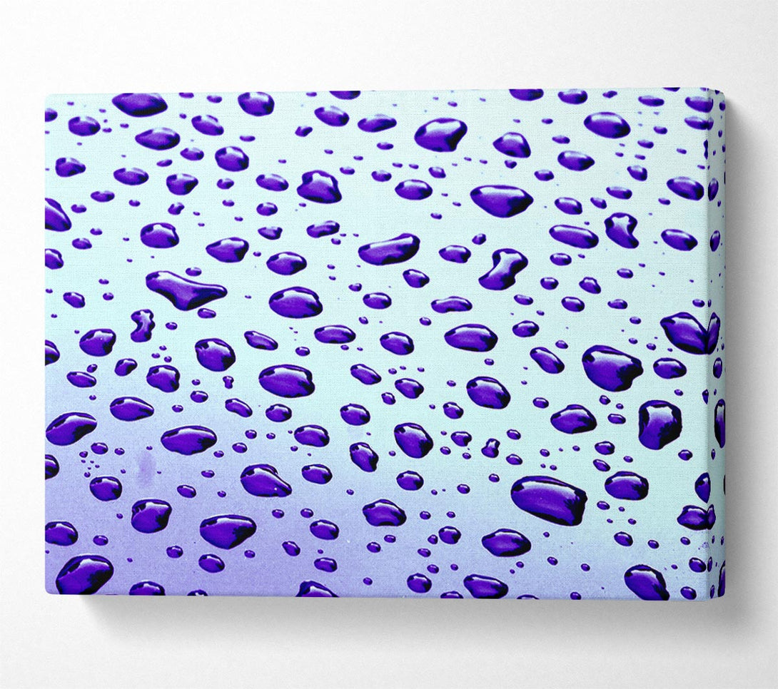  A Canvas Print of Purple Raindrops Canvas Print