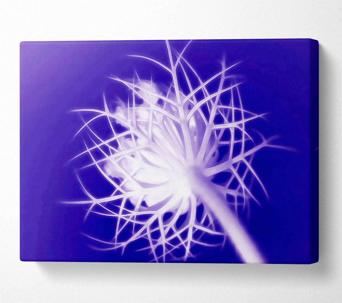 A Canvas Print of Purple Thorns Canvas Art