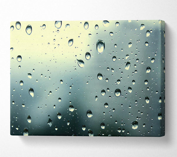  A Canvas Print of Rain Drops At Dusk Canvas Art