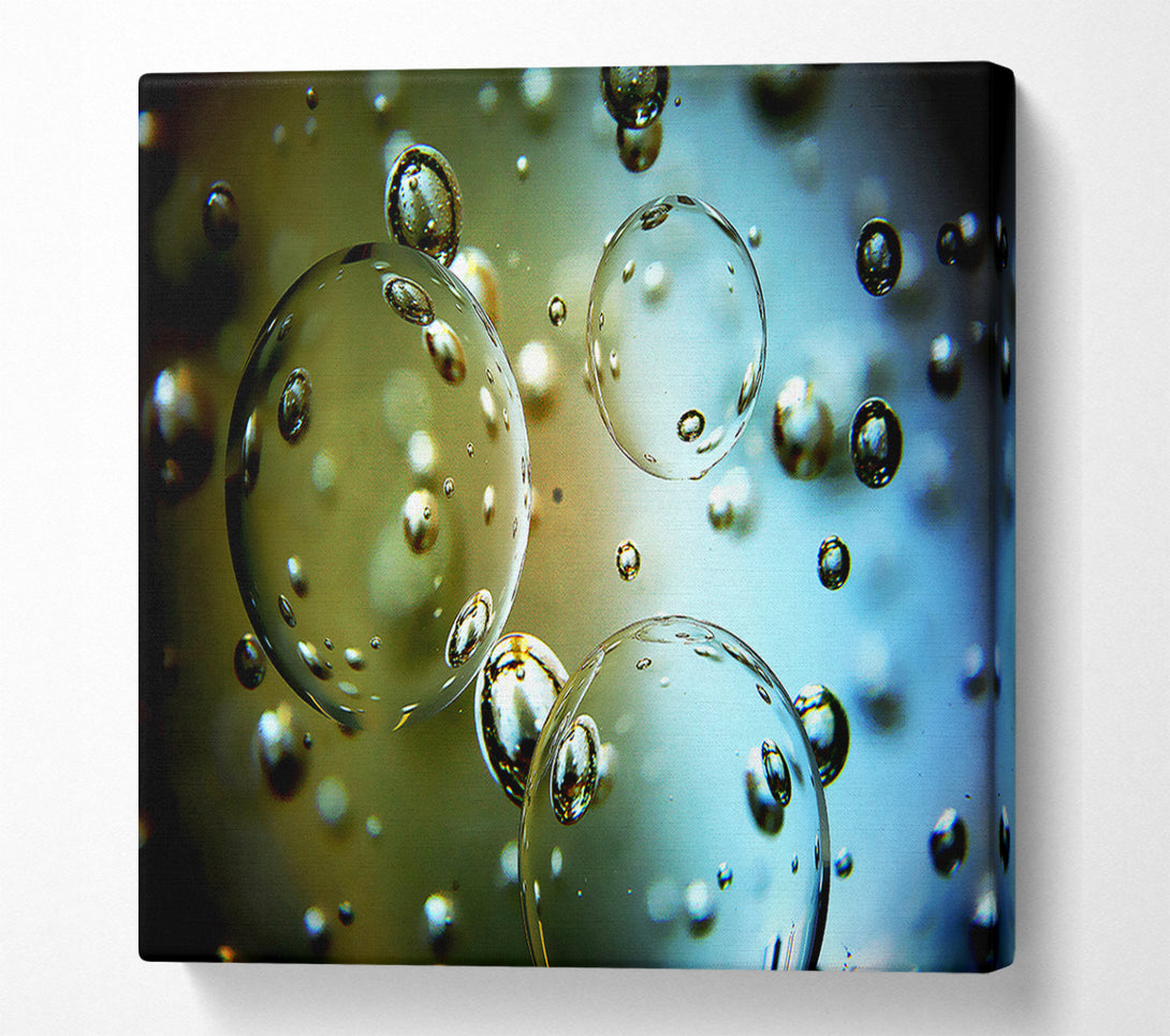  A Canvas Print of Rain Drops Canvas Art