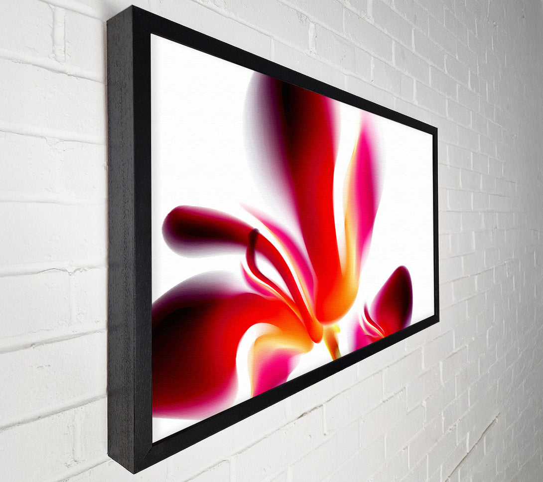  A Canvas Print of Raspberry Ripple Canvas Print