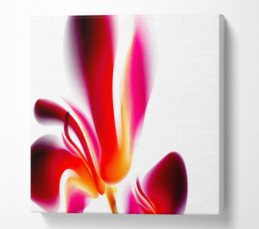  A Canvas Print of Raspberry Ripple Canvas Print