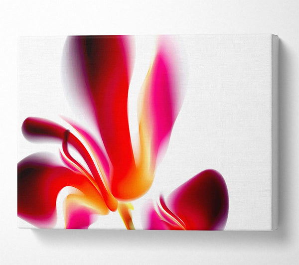  A Canvas Print of Raspberry Ripple Canvas Print