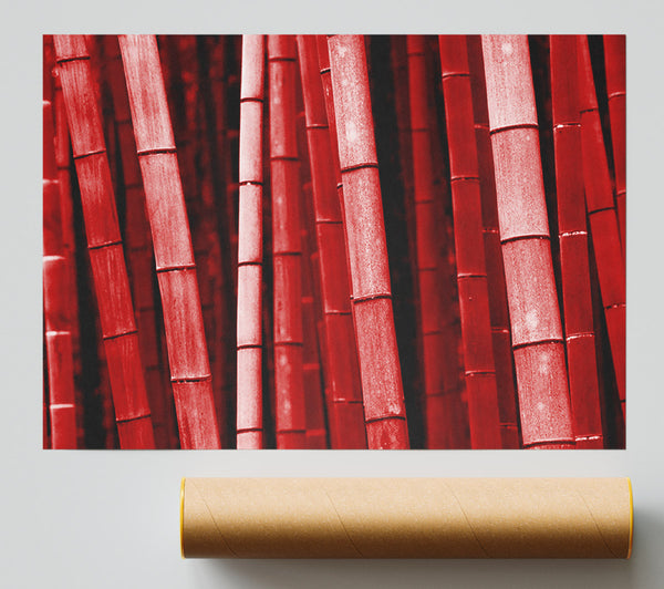 Red Bamboo Poster