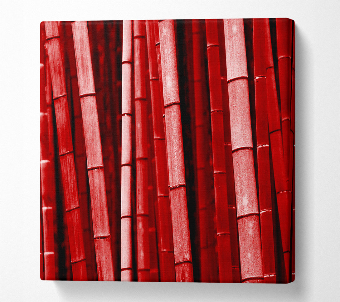  A Canvas Print of Red Bamboo Canvas Print