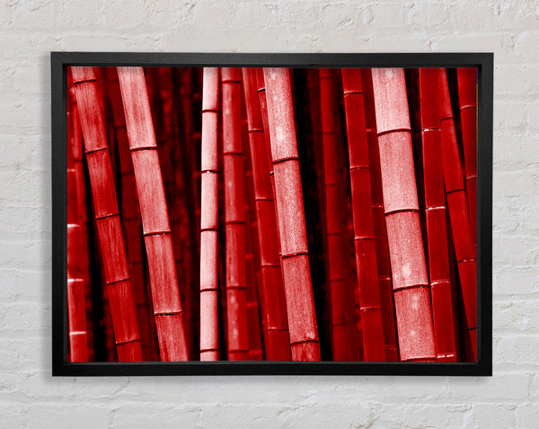 Red Bamboo Framed Print