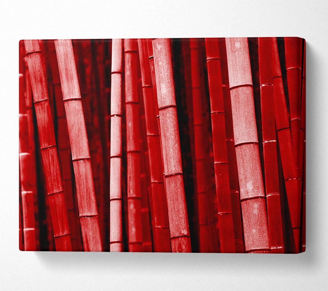  A Canvas Print of Red Bamboo Canvas Print