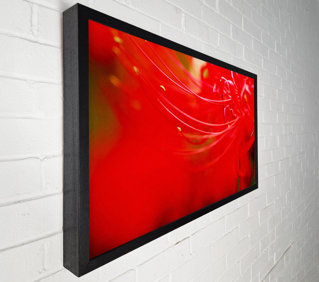  A Canvas Print of Red Heaven Canvas Wall Art