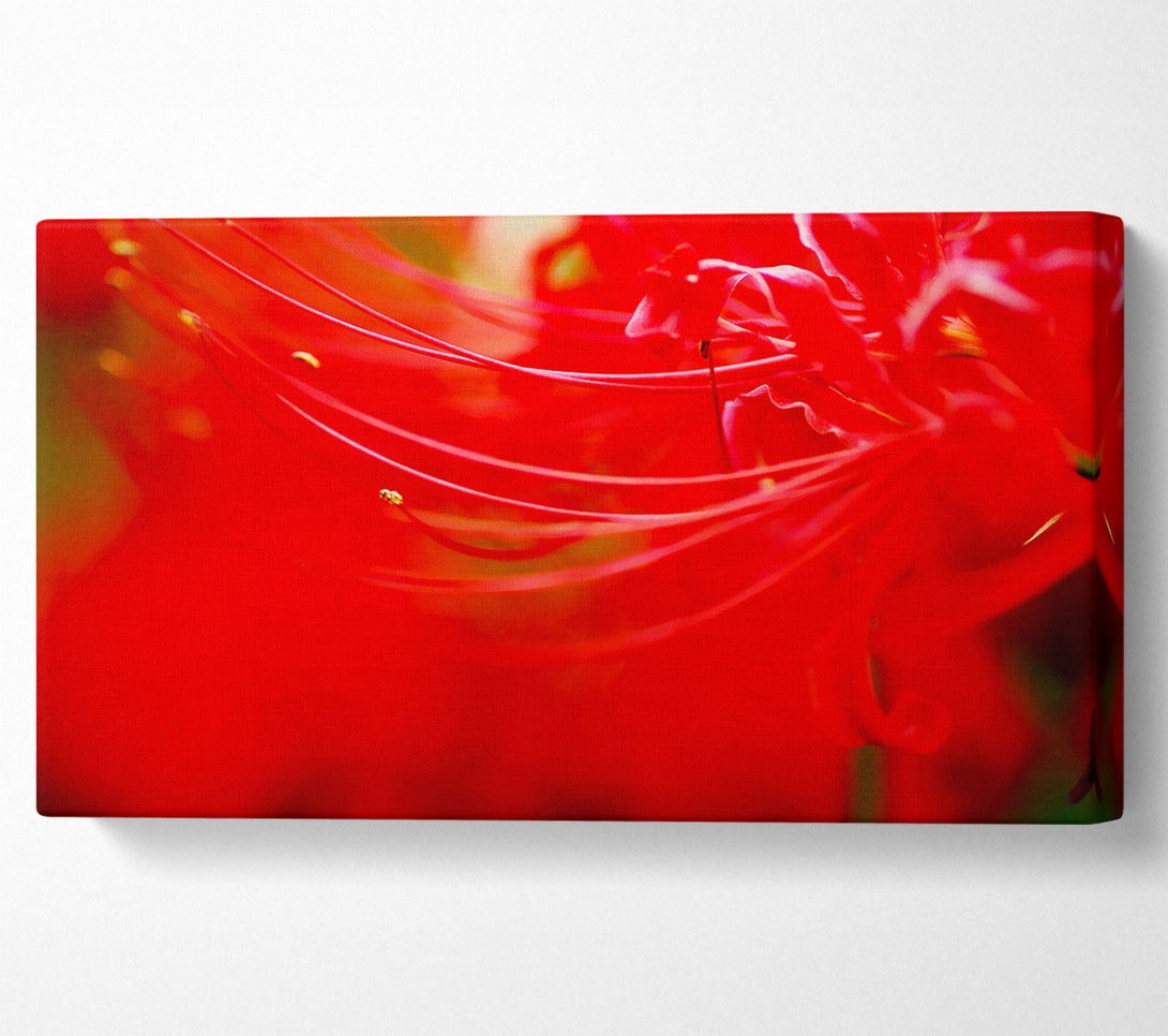  A Canvas Print of Red Heaven Canvas Wall Art