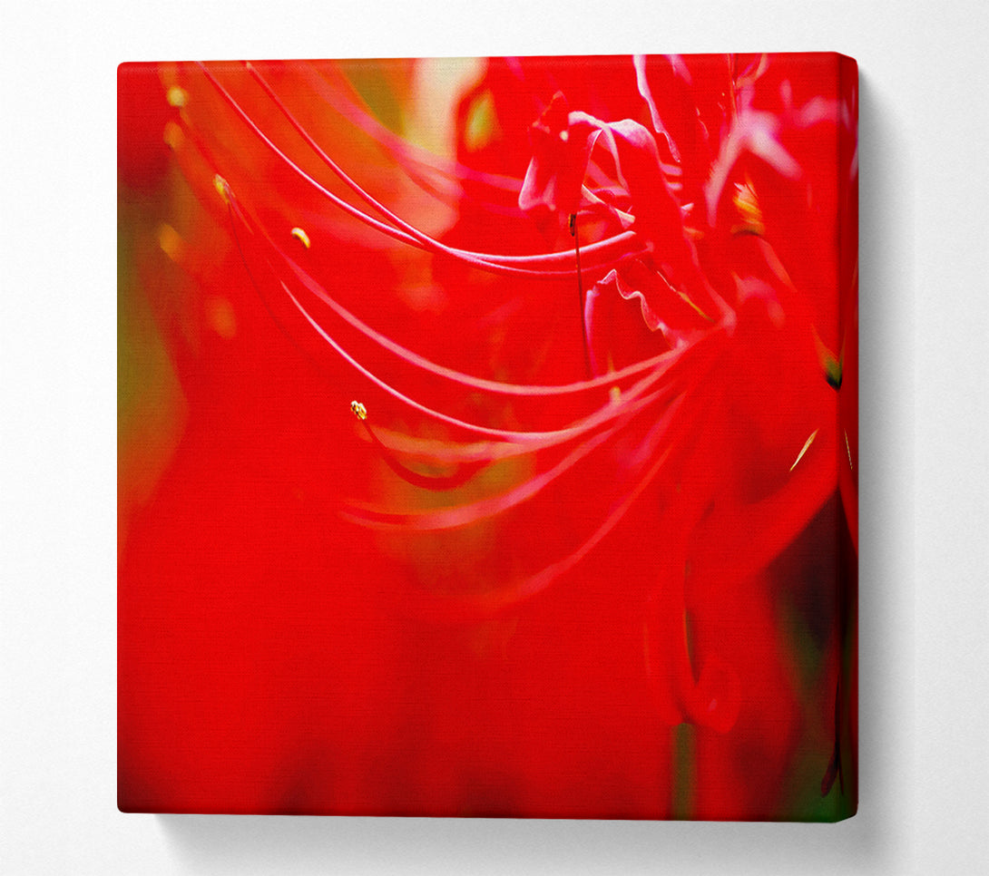  A Canvas Print of Red Heaven Canvas Wall Art