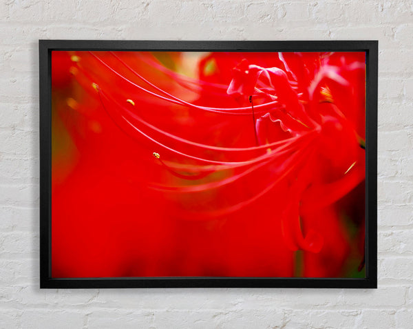 Red Heaven Framed Print