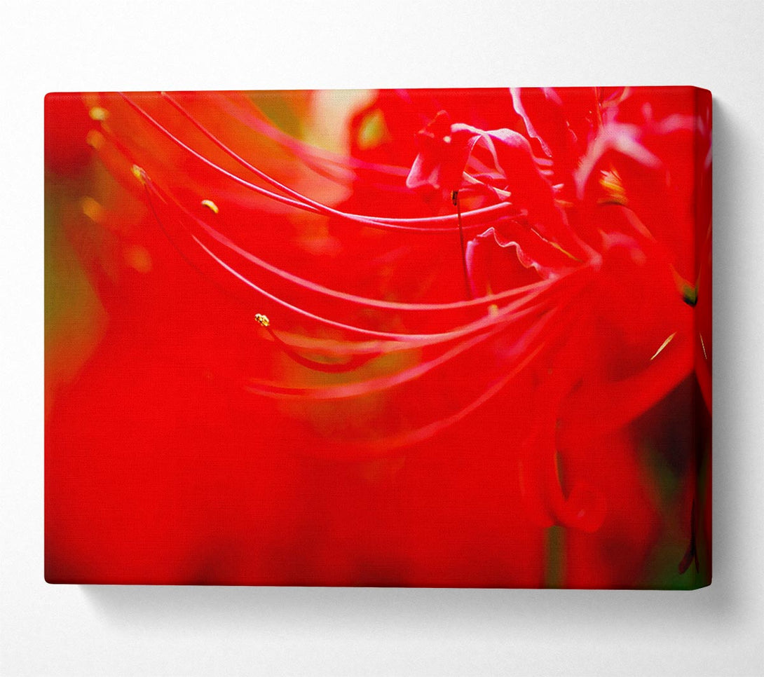  A Canvas Print of Red Heaven Canvas Wall Art