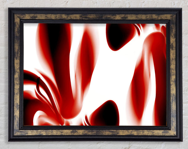 Red Raspberry Ripple Framed Print