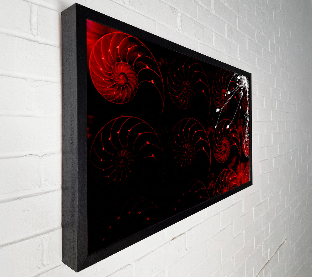  A Canvas Print of Red Shell Delight Canvas Print