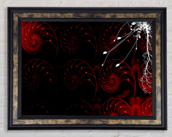 Red Shell Delight Framed Print