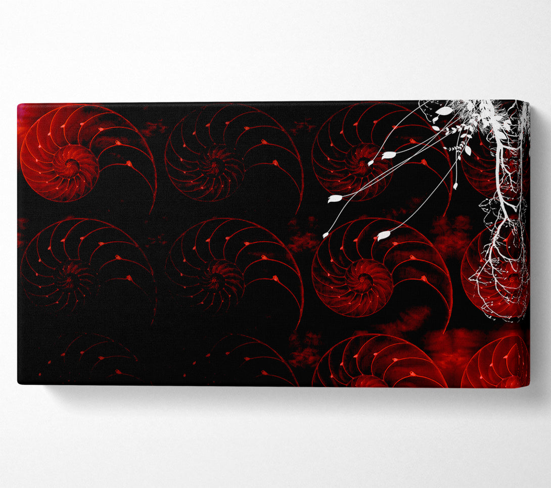 A Canvas Print of Red Shell Delight Canvas Print